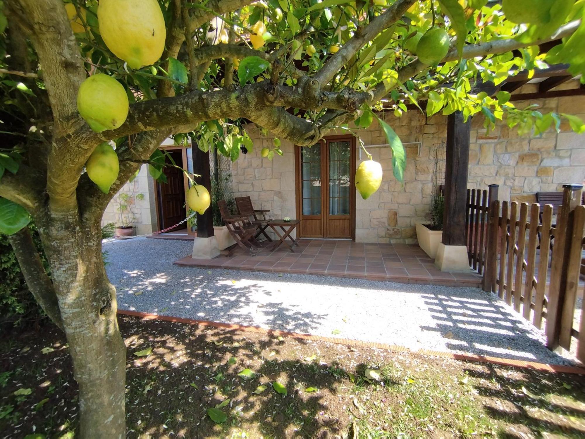 Apartamentos Altamira Santillana del Mar Zewnętrze zdjęcie
